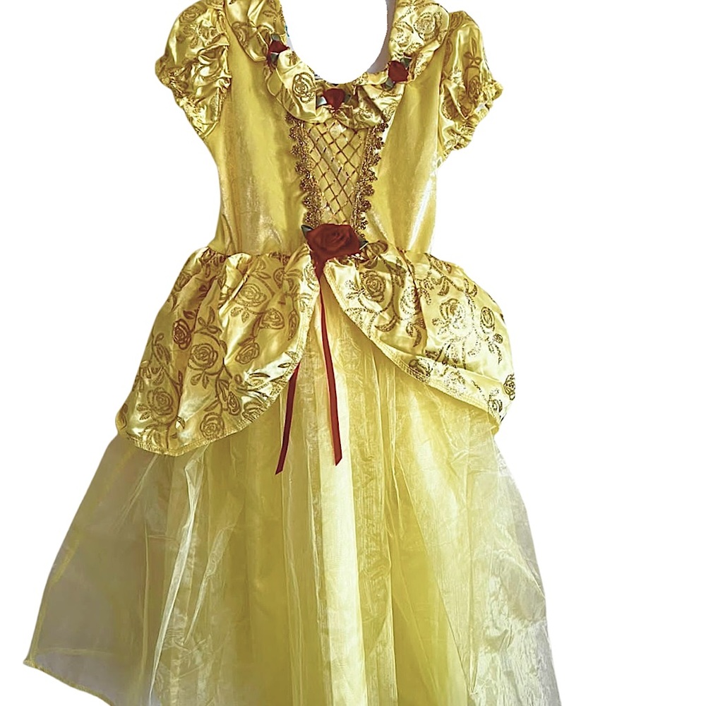 It's a Princess Belle costume from the movie beauty and the beast